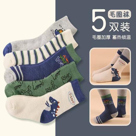 【5双装】儿童加厚冬季毛圈袜 男童卡通恐龙加绒加厚宝宝袜 保暖毛巾袜 商品图7