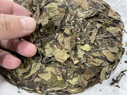 长寿村仙蒲·2021春寿眉·醉流霞（福鼎白茶·磻溪镇·） 商品图3