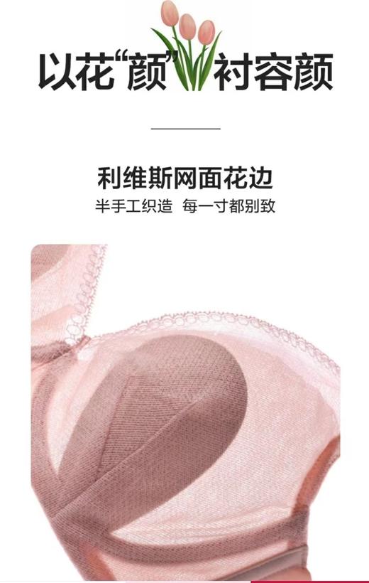 百货世界-爱慕文胸AM114151 商品图1