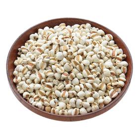 小苡仁500g/份