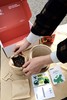 作物生长盆栽产品套装 商品缩略图10