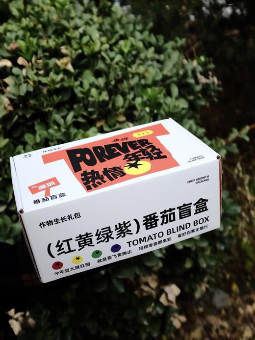 作物生长盆栽产品套装 商品图9