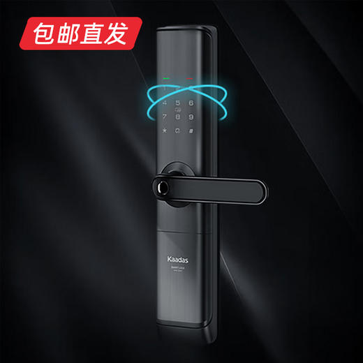 凯迪仕智能锁 S110 （包邮直发） 商品图0