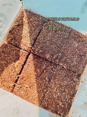 泰象黑森林蛋糕450g