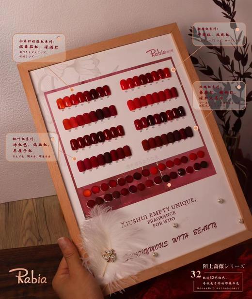 【秒杀价】陌上蔷薇32色 商品图1