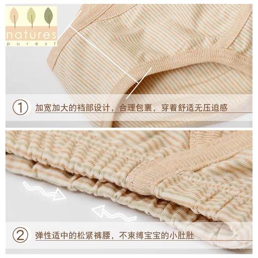 【云粉节】9楼英国natures purest（天然素彩）男宝宝内裤彩棉柔软舒适男童全棉内裤2件装丨吊牌价：188元 商品图2