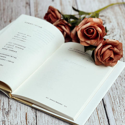 独处时与世界交流的方式 谜文库系列 张新颖诗歌集 精装正版 商品图11