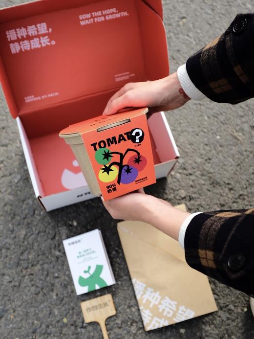 作物生长盆栽产品套装 商品图13