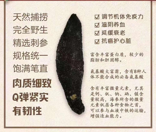 【干货】100%纯野生新西兰澳洲小黑参海参花胶鱼胶无激素无防腐剂无漂白 墨姐澳洲代购 商品图1