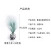 EVA条纹星空羽毛球 滚滚球猫玩具抛掷玩具【拍组合装更划算】 商品缩略图1