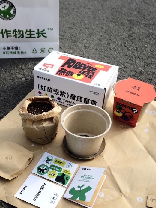 作物生长盆栽产品套装 商品图7