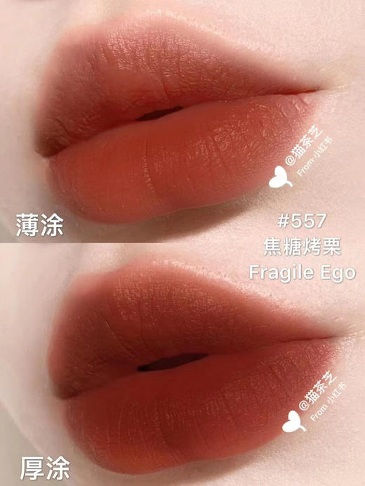 雅诗兰黛557 烤栗红棕 商品图2