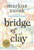 克雷的桥 英文原版 Bridge of Clay 偷书贼作者Markus Zusak新作 商品缩略图0