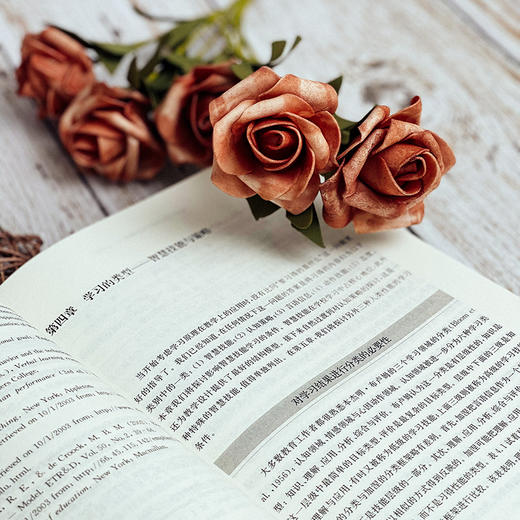 教学设计原理 第五版修订本 学习心理学与教学设计名著译丛 商品图8