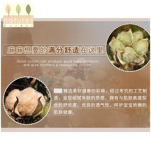 【云粉节】9楼英国natures purest（天然素彩）男宝宝内裤彩棉柔软舒适男童全棉内裤2件装丨吊牌价：188元 商品图3