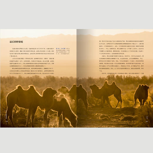 《BBC完美星球：地球生态大百科》 商品图4