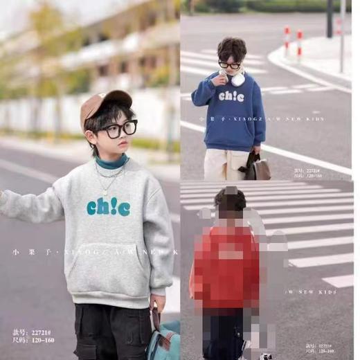 小果子22721羊驼绒卫衣 商品图0