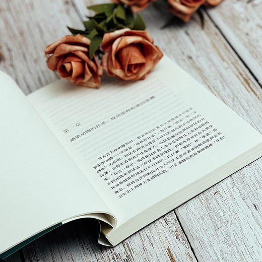 病毒博物馆 中国观鸟者 病毒猎人和生命边界上的健康哨兵 商品图10