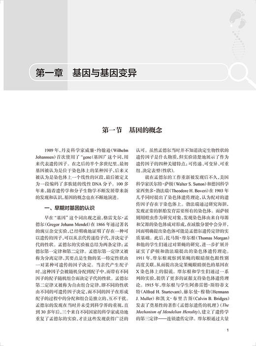 新生儿基因筛查 赵正言 周文浩 梁德生主编 新生儿疾病基因诊断 儿科临床工作者实用参考书 人民卫生出版社9787117336437 商品图4