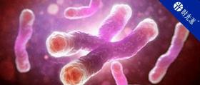 黑人比白人端粒长？肥胖儿童端粒缩短但鱼油能延长？端粒最新研究盘点