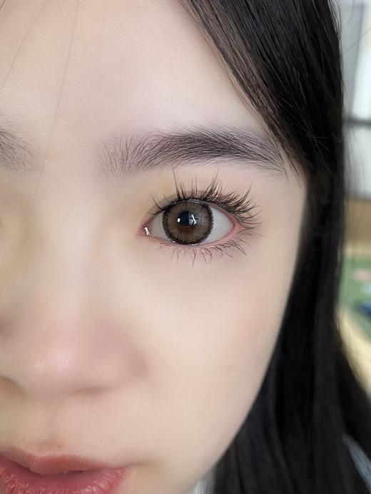 Rolalens月抛--太妃咖 商品图7