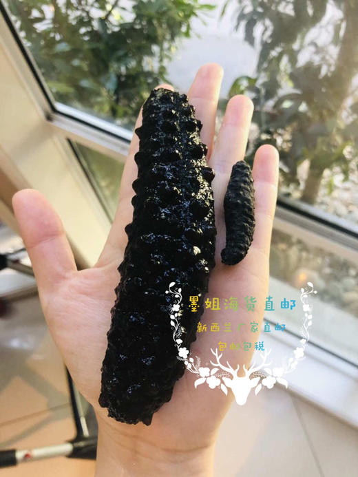 【干货】100%纯野生新西兰澳洲小黑参海参花胶鱼胶无激素无防腐剂无漂白 墨姐澳洲代购 商品图8