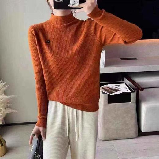 立领皮笑打底衫 商品图0