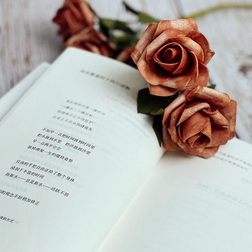 独处时与世界交流的方式 谜文库系列 张新颖诗歌集 精装正版 商品图12