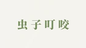 精华液用户反馈-虫子叮咬