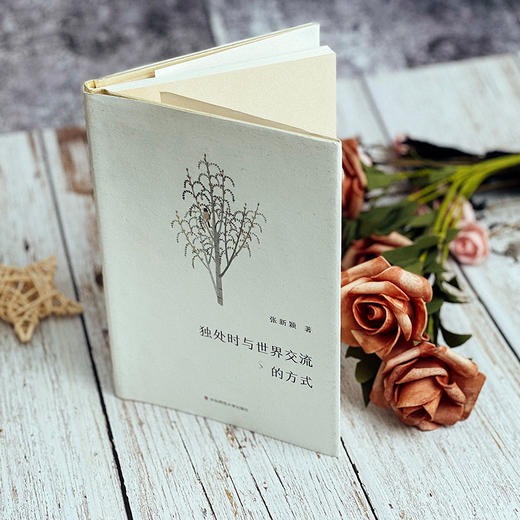 独处时与世界交流的方式 谜文库系列 张新颖诗歌集 精装正版 商品图9