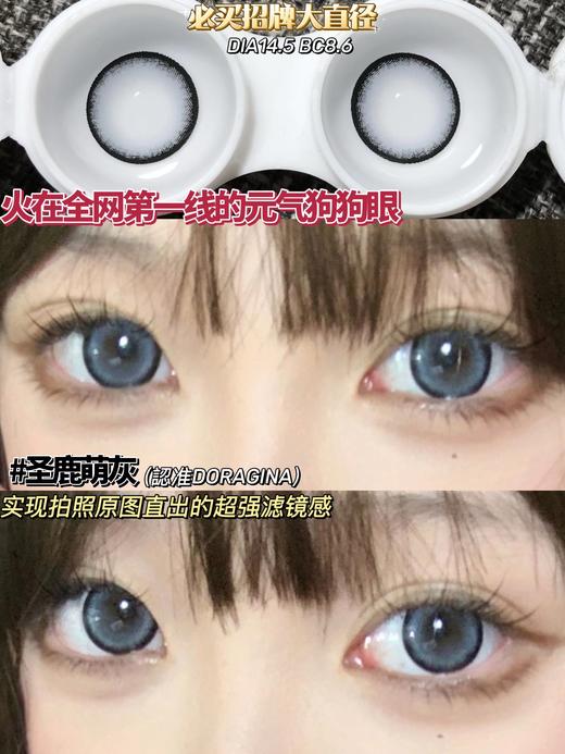 Doragina年抛·圣鹿萌灰·14.5mm中大直径·韩产2片 商品图9