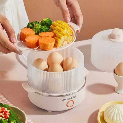 九阳 迷你电蒸锅 2L DZ20HG-GZ620 商品图1