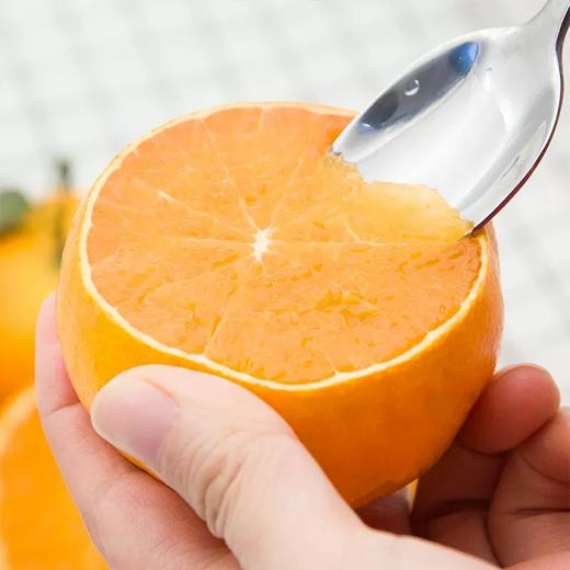 【严选】四川爱媛果冻橙彩箱带箱10斤（厂家直发） 商品图3