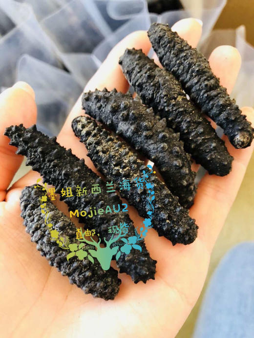 【干货】100%纯野生新西兰澳洲小黑参海参花胶鱼胶无激素无防腐剂无漂白 墨姐澳洲代购 商品图4