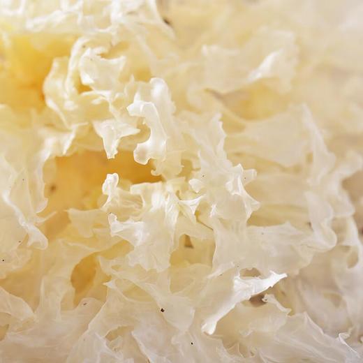 银耳100g/份 商品图2