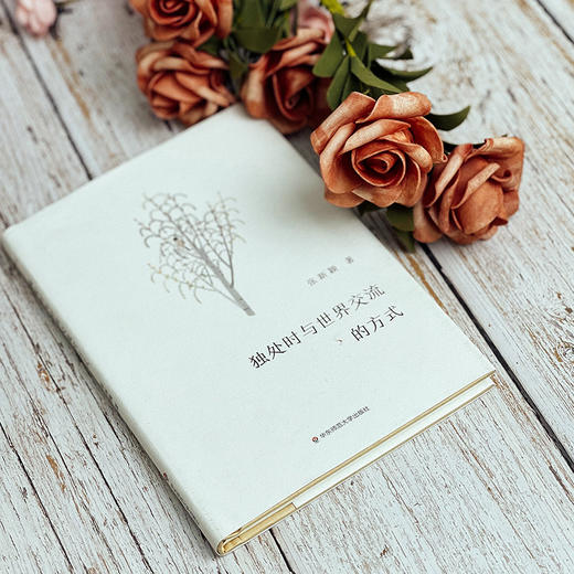 独处时与世界交流的方式 谜文库系列 张新颖诗歌集 精装正版 商品图10