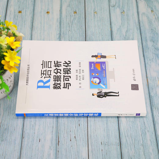 R语言数据分析与可视化 商品图3