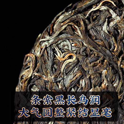第2份半价！2022年春茶 弯弓普洱茶生饼古树茶叶200g/饼 商品图3
