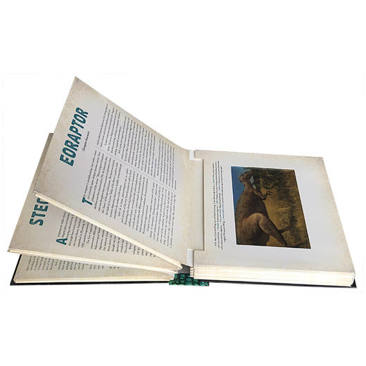 【中商原版】光与影视觉书系列2册 英文原版 A Photicular Book 会动的3D立体图片书 纽约时报畅销书 极地Polar 陆地Outback 商品图3