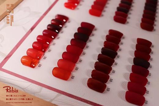 【秒杀价】陌上蔷薇32色 商品图3