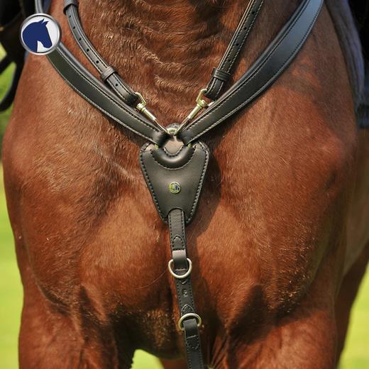 德国DT前胸带-低头革 商品图3