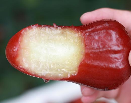 海南 黑金刚莲雾 商品图1