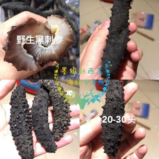 【干货】100%纯野生新西兰澳洲小黑参海参花胶鱼胶无激素无防腐剂无漂白 墨姐澳洲代购 商品图2
