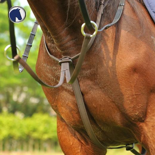 德国DT前胸带-低头革 商品图7