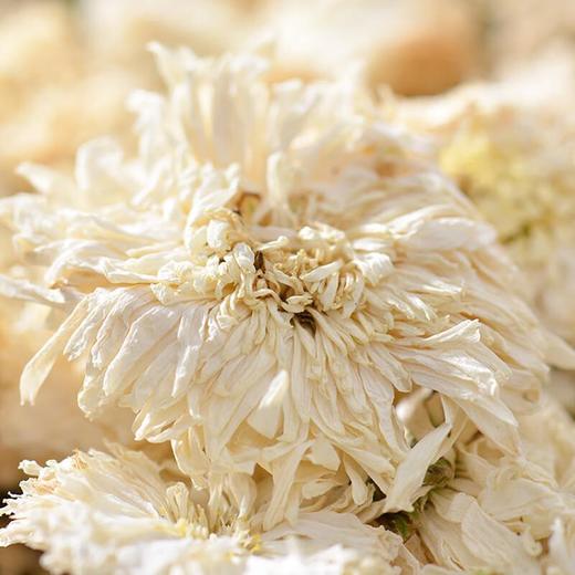 贡菊50g/份 商品图3