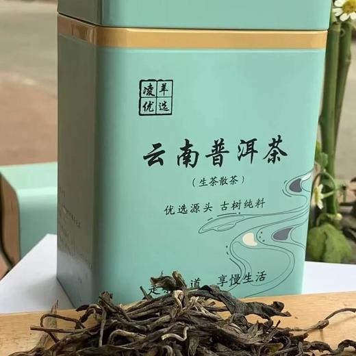 云南普洱茶优选生茶散茶75g一罐装 商品图0