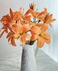 多头橙色梦想花束 商品缩略图0