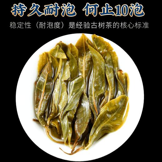第2份半价！2022年春茶 薄荷塘普洱茶生饼古树茶叶200g/饼 商品图6