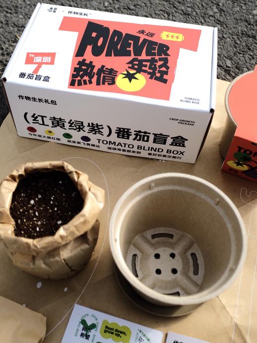 作物生长盆栽产品套装 商品图5