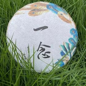 云南优选普洱茶生茶饼茶200g